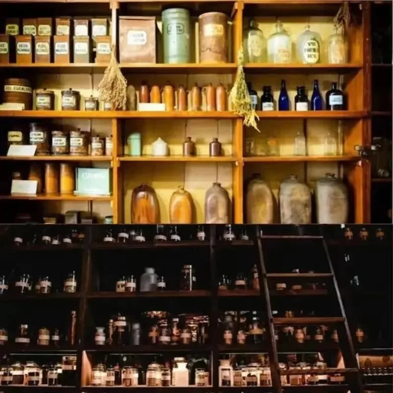 The Holistic Home Apothecary – 1000+ Forgotten Natural Remedies for Family Wellness