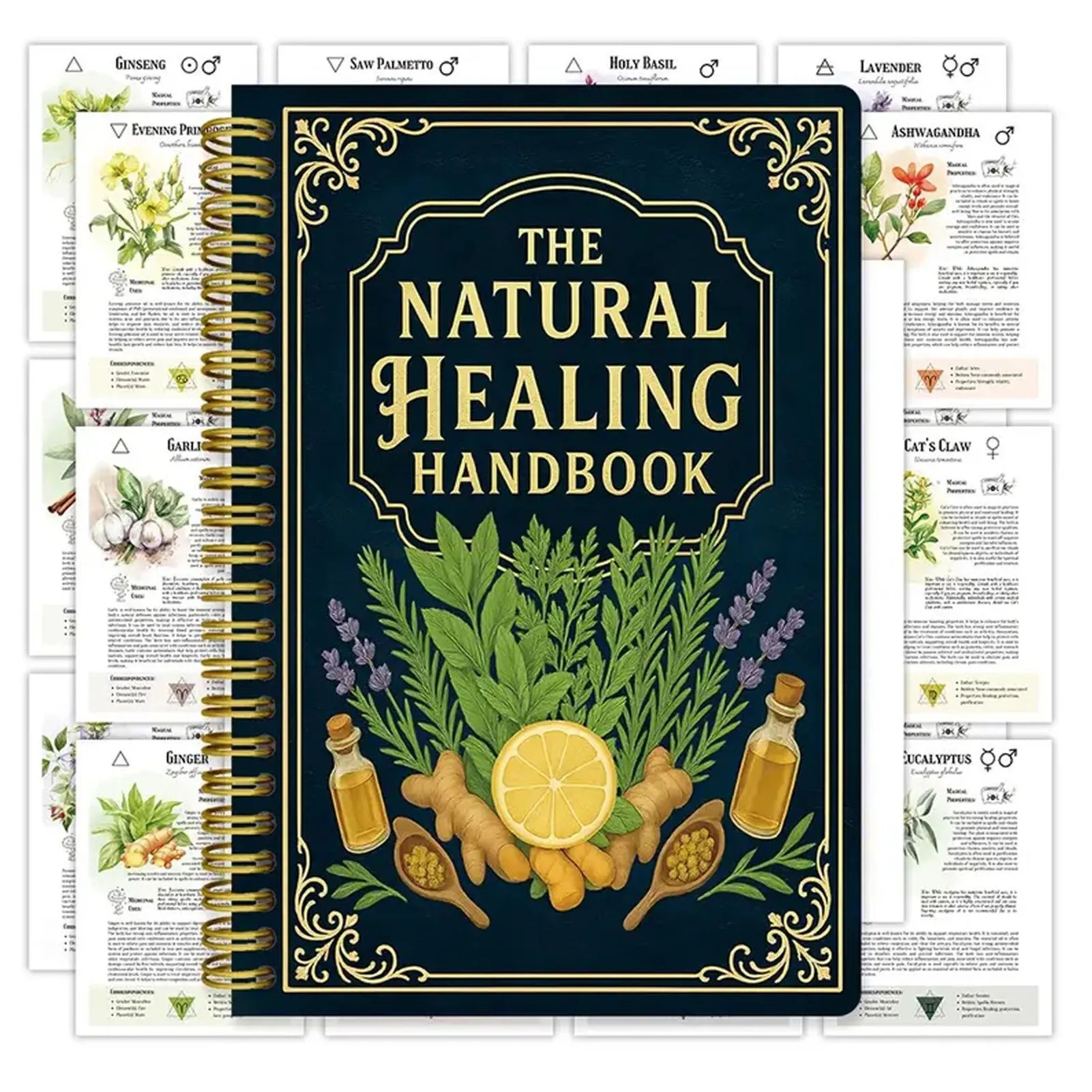 Natural Healing Handbook by Luna Filby – Holistic Wellness & Self Care Guide
